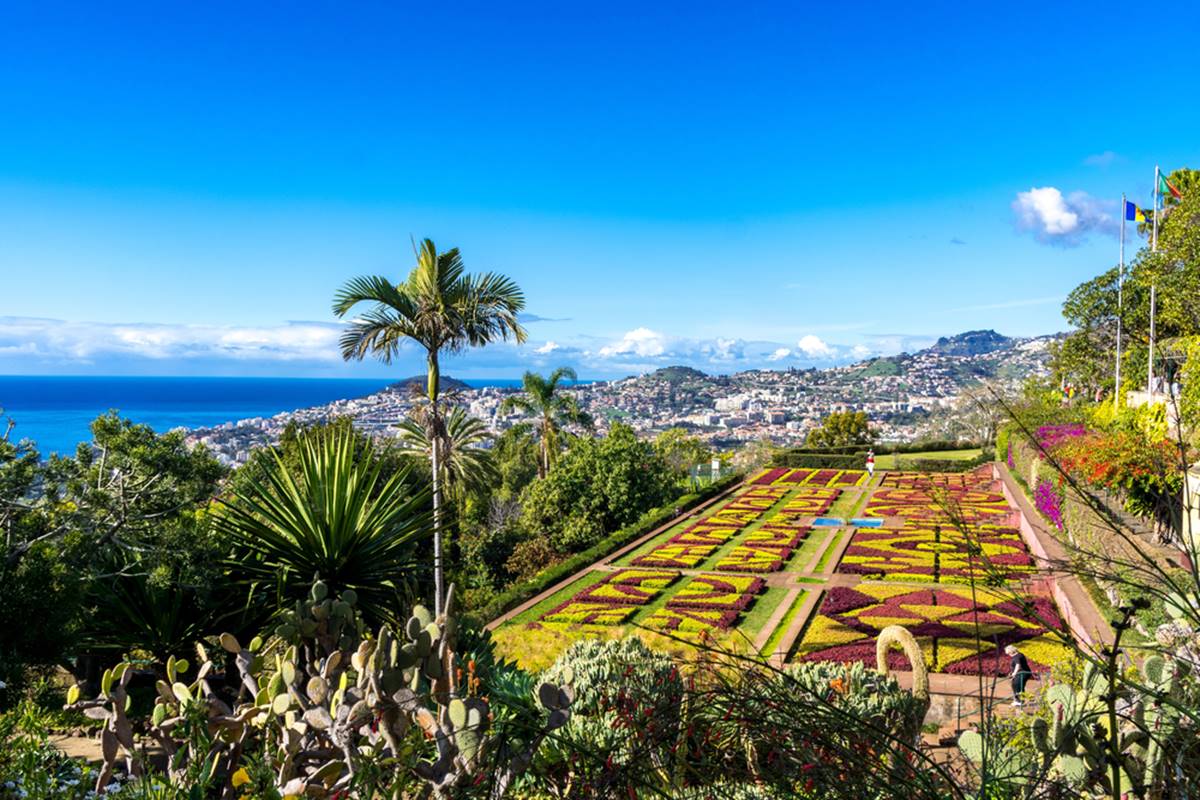 Madeira. Nuotrauka iš Shutterstock.